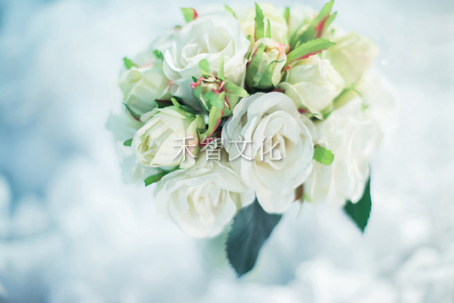 1581377616621880.jpg MBpFCFjZbMJKE3d0R8wxBnCd7_bS7G2_.jpg